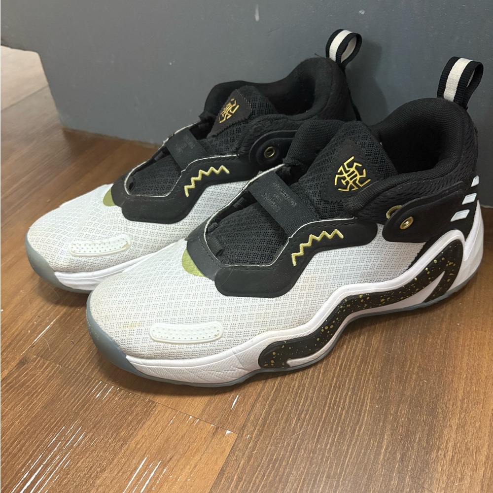 Adidas Basketball shoes